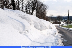 60-encore-une-belle-sculpture-de-neige