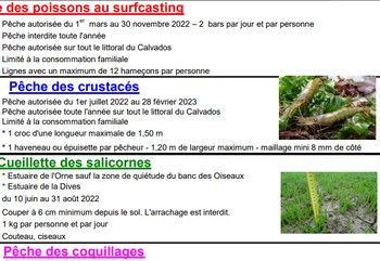 04.07.2022 Réglementation de la  pêche de loisir dans le Calvados 2022