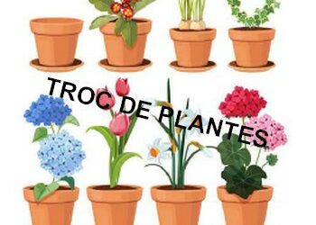 19.11.2023 Troc de plantes au jardin collectif