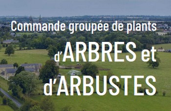 04.06.2025 Commande groupée de plants-édition 2025 / Ter’ Bessin