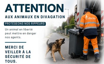 26.05.2026 Animaux en divagation / COLLECTEA